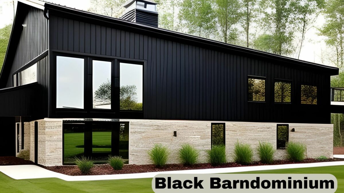 Black Barndominium: The New Trendy Barnhouses